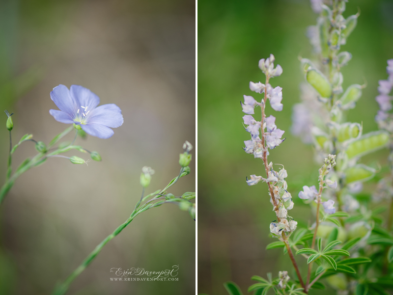 Erin Davenport Photography Granby Colorado Wedding Samantha and Alex 03